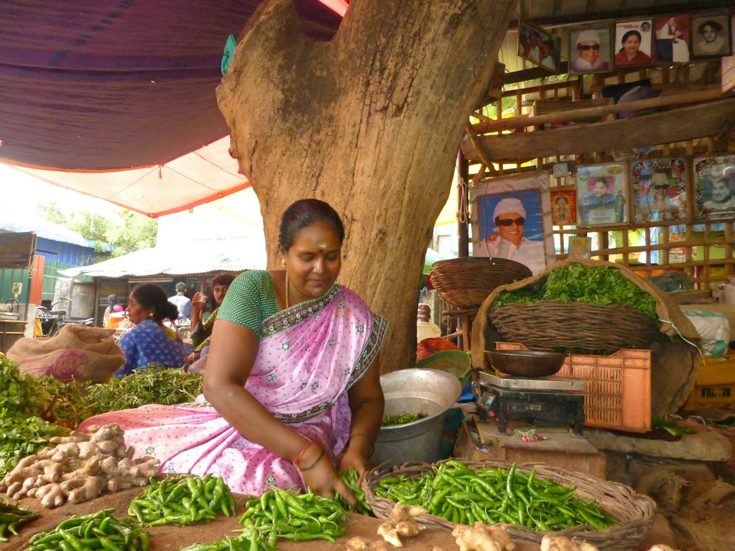 Professional nutritionist guidance and consultation
